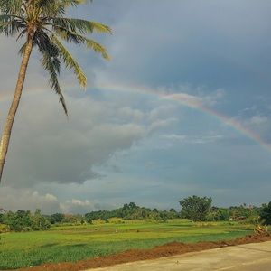 Meet your Posher, Roche angelique